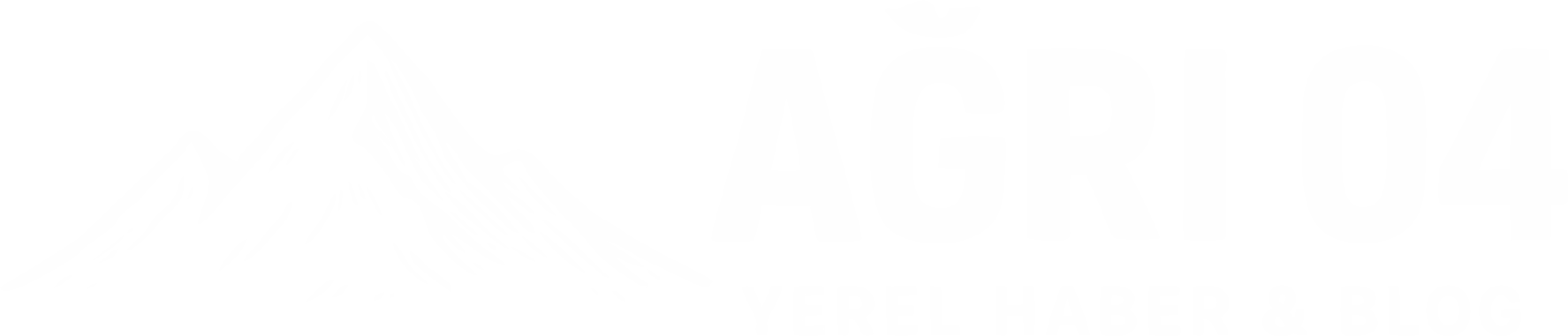 AĞRI 04