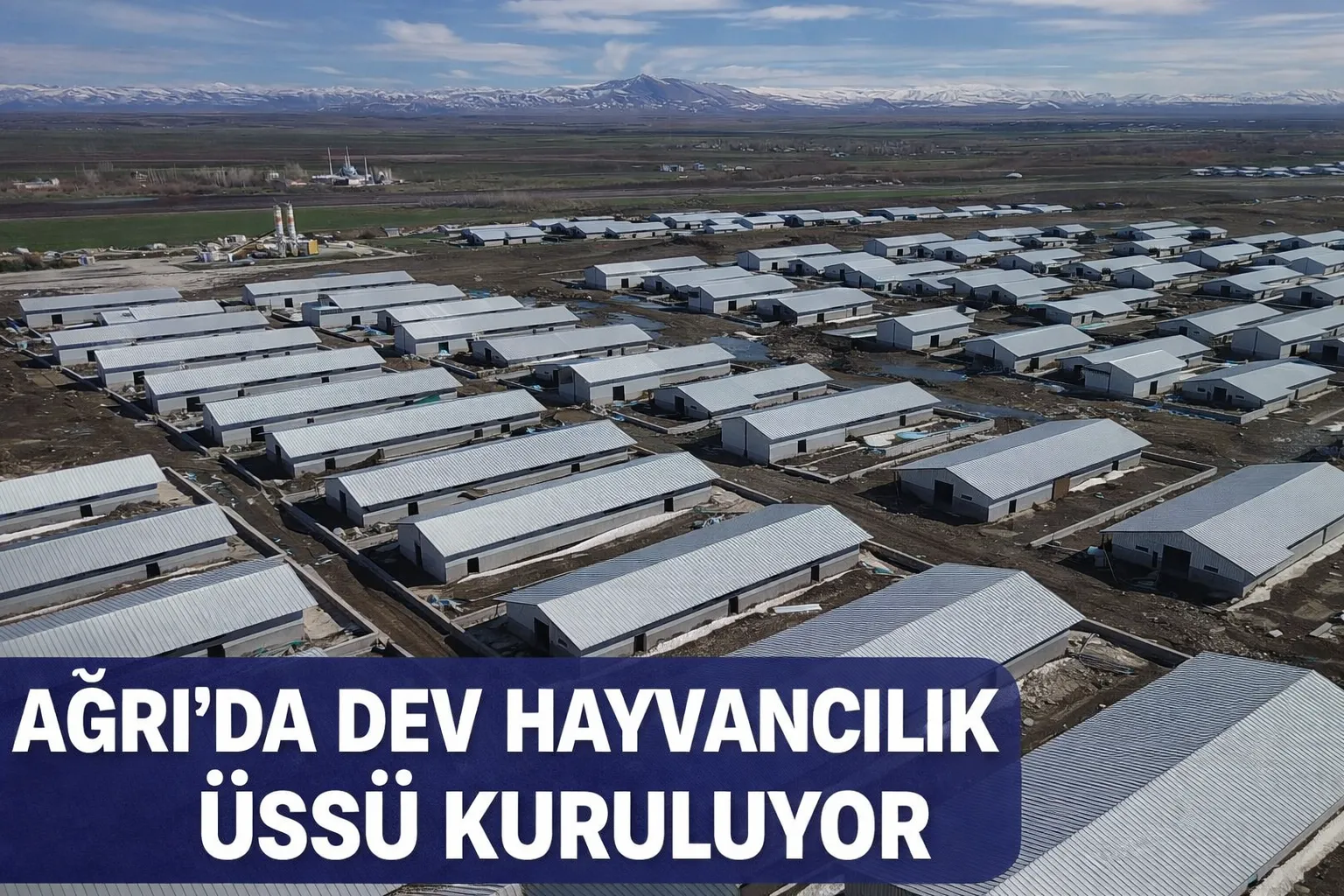 Ağrı’da Devrim: 307 Ahırlık Hayvancılık Üssü Yükseliyor!