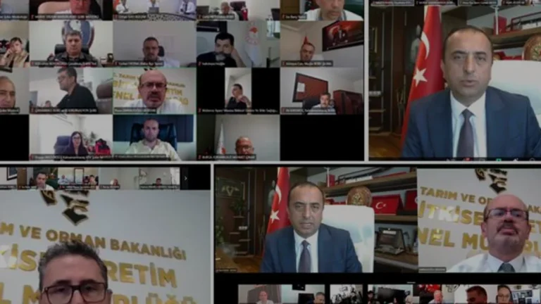 2026 Zeytin Rekolte Belirleme Çalışmaları Başladı