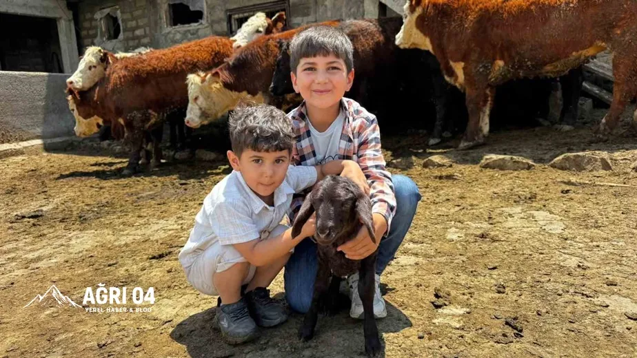 Ağrı’da Bereket Seferberliği: Gebe Düveler Köye Ulaştı!