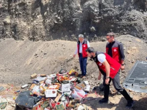 Patnos’ta 2 bin 650 tarihi geçmiş ürün imha edildi
