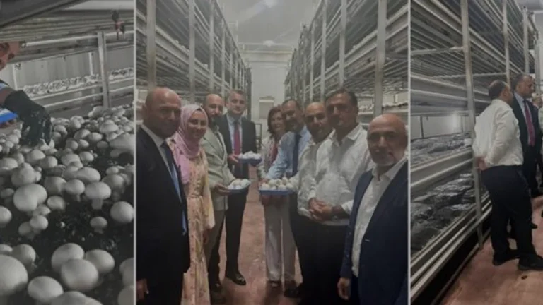 Van’da IPARD Destekli Mantar Tesisi Kırsal Ekonomiyi Büyütüyor
