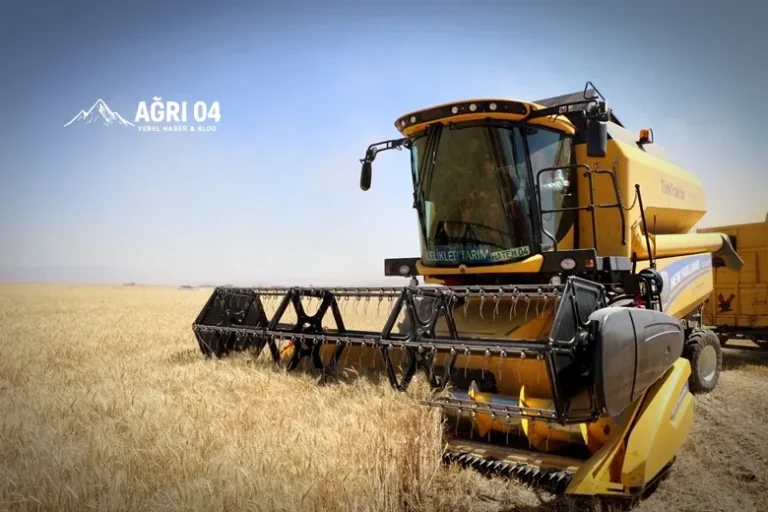 Ağrı’da Altın Hasat Zamanı: Eleşkirt’te Tarlalar Biçerdöverlerle Doldu