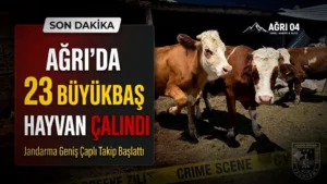 Ağrı’da Gece Yarısı Şoku: 23 Büyükbaş Hayvan Çalındı!